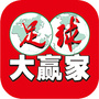 足球大赢家ico