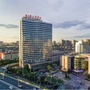 浙江省人民医院病理科ico