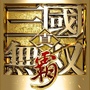 真三国无双霸手游ico