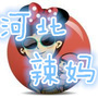 河北辣妈公众号ico
