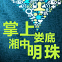 掌上娄底ico