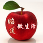 昭通微生活ico