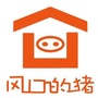 中新生态城楼市ico