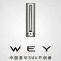 资阳建国WEYico