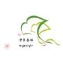 宁医杏林ico