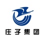 庄子集团ico