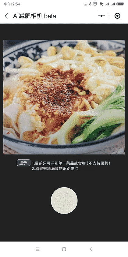 AI减肥相机截图2