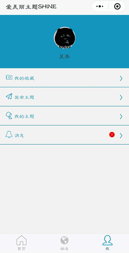 爱美丽主题SHINE截图3