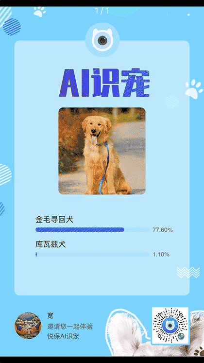 AI识宠截图3