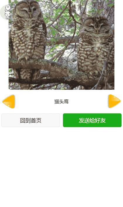 宝宝认识动物截图2