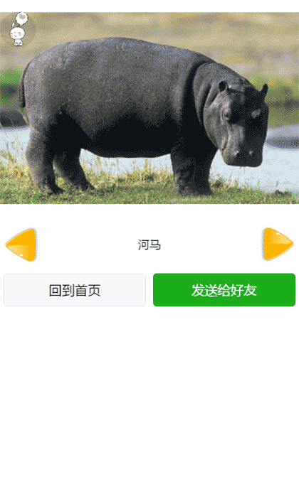 宝宝认识动物截图3