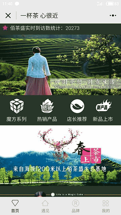 佰茶盛100TEAS品牌茶叶店截图1