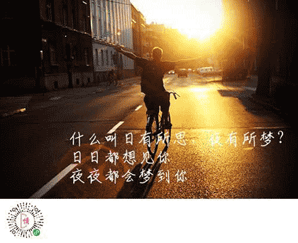 不土味三行情话截图3