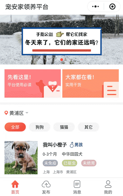 宠安家领养平台截图1