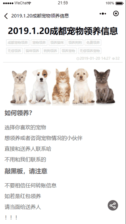 成都宠物领养之家截图2