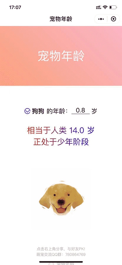 宠物年龄截图2