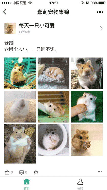 蠢萌宠物集锦截图1