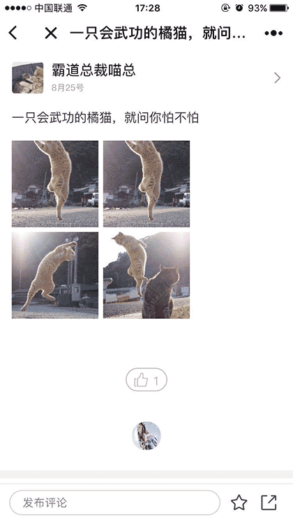 蠢萌宠物集锦截图2