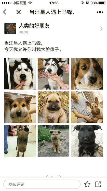 蠢萌宠物集锦截图3