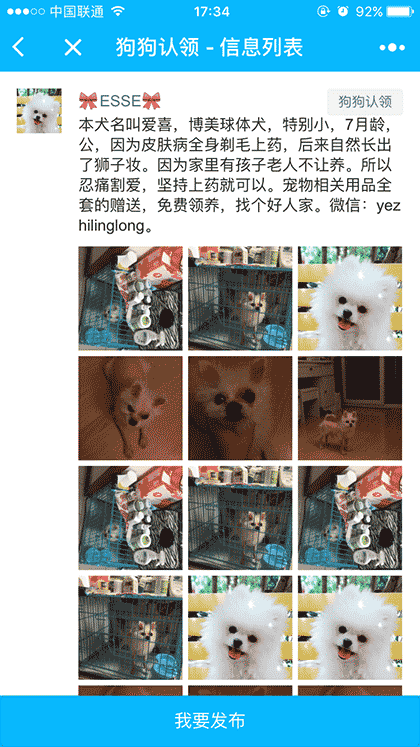 宠物救助领养中心截图3