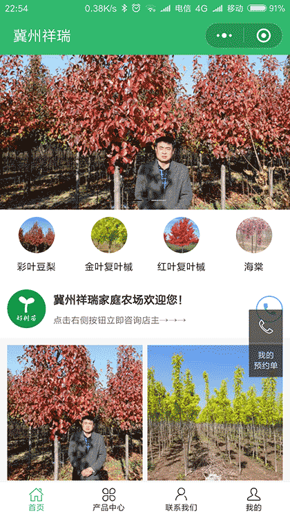 彩叶豆梨金叶复叶槭皇家美人海棠截图1