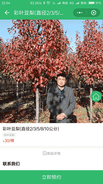 彩叶豆梨金叶复叶槭皇家美人海棠截图3