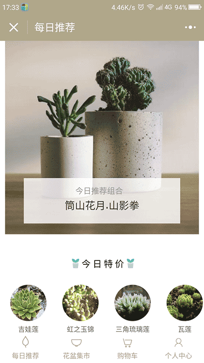 叮铛多肉小店截图3