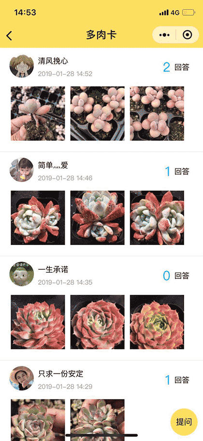 多肉卡RouCard截图3