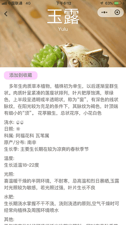 多肉种植手册截图3