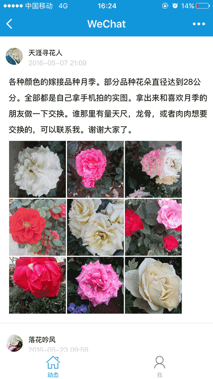 枫桥居花卉截图2