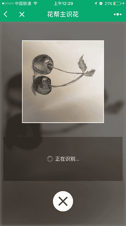 花帮主识花截图1