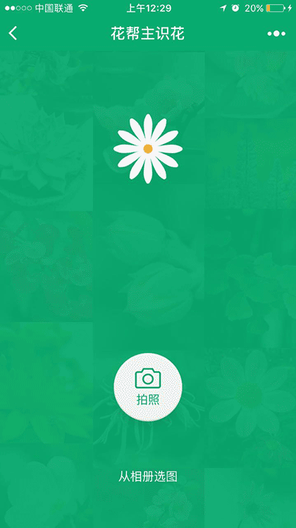 花帮主识花截图2