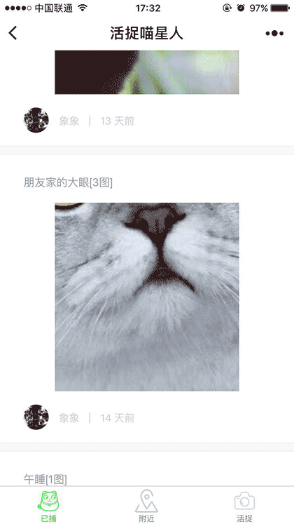 活捉喵星人截图1