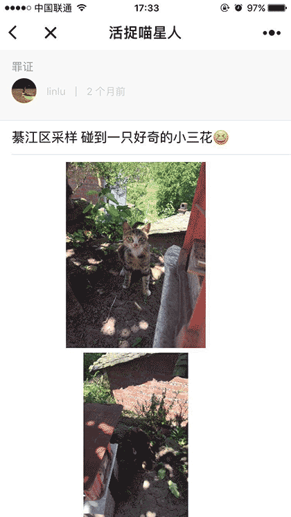 活捉喵星人截图2