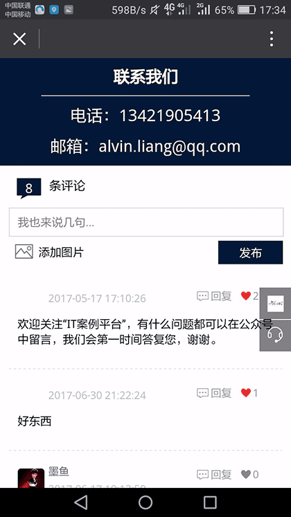 IT案例截图1