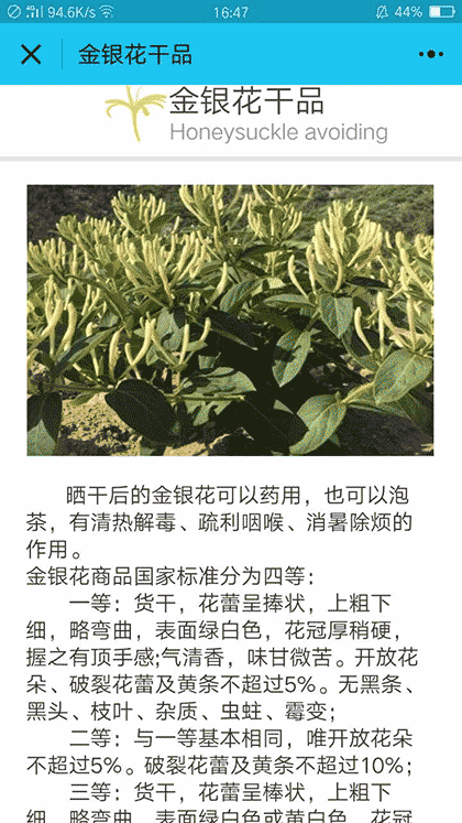 金银花种植技术截图3