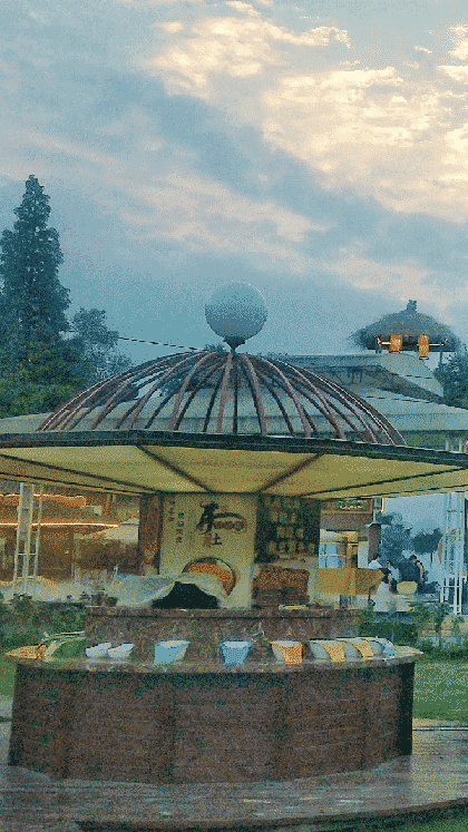 九香九味手撕毛肚火锅截图3