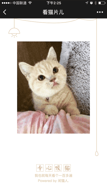 看猫片儿截图2