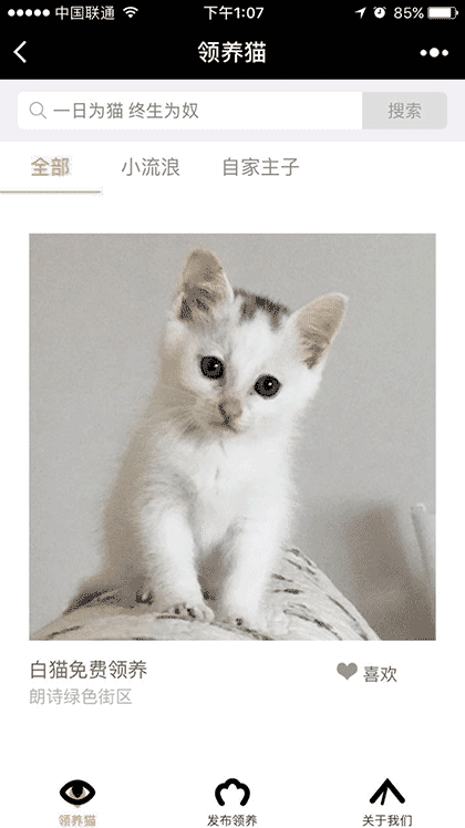 领养猫截图1