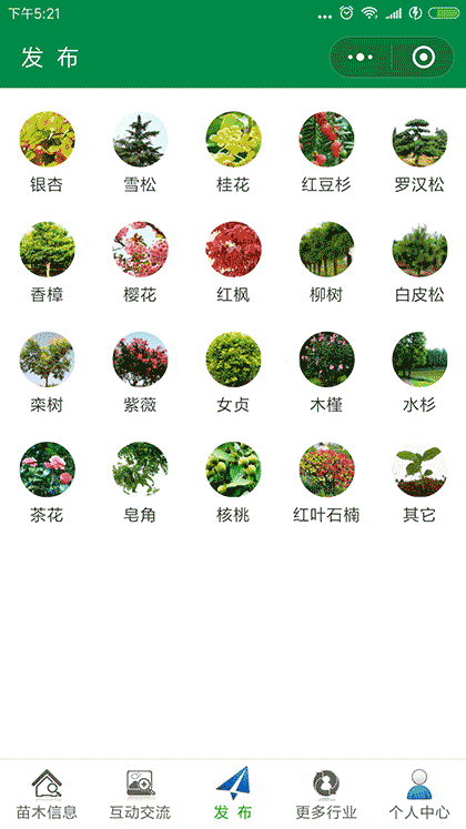 绿化苗木信息网截图3