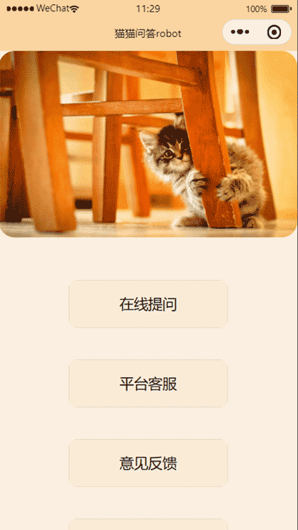 猫猫问答截图1
