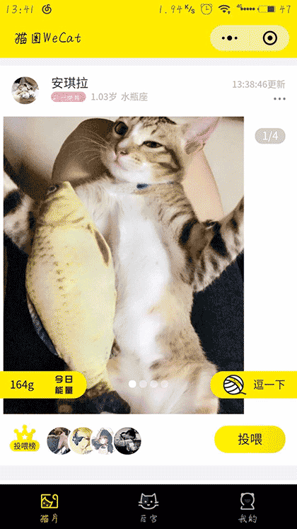 猫圈WeCat截图1