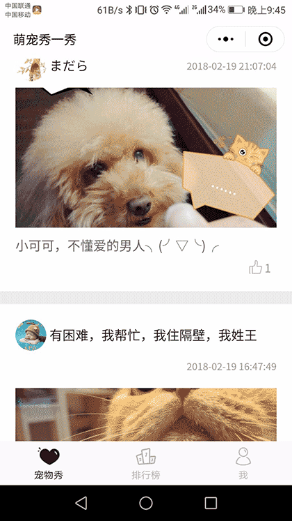 萌宠秀一秀截图1