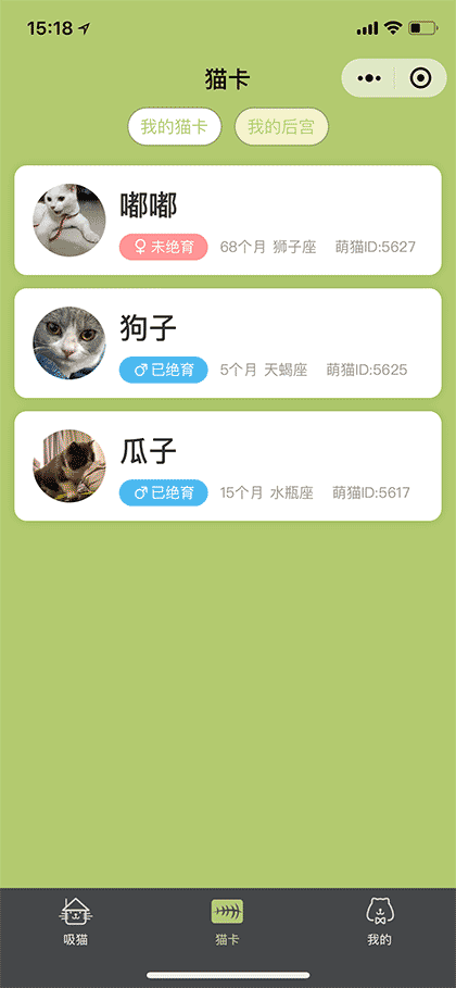 萌猫占领世界截图3