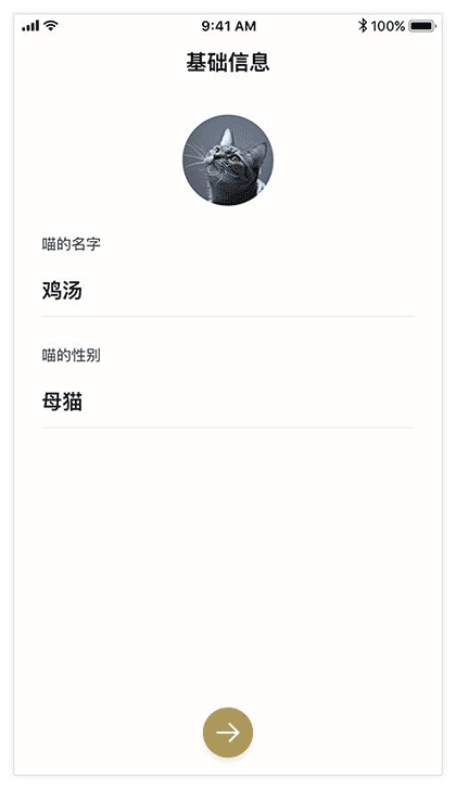 MEOW养好一只猫截图1