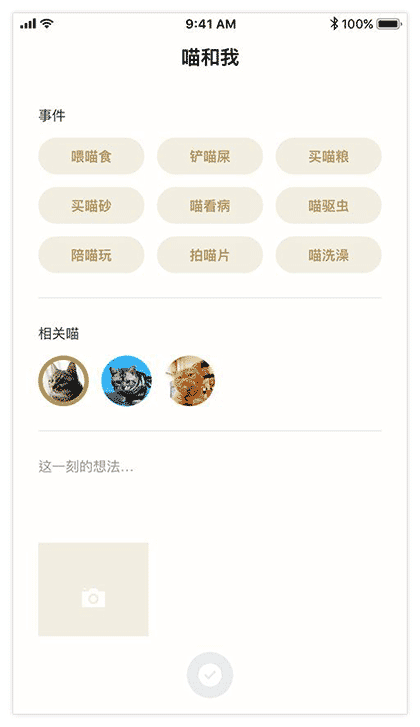 MEOW养好一只猫截图2