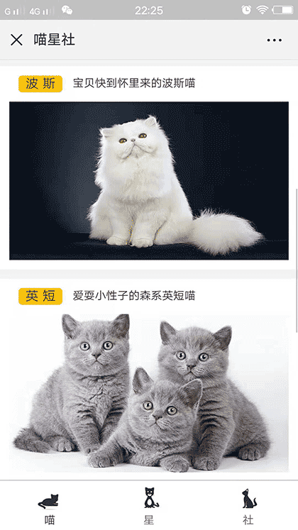 喵星社截图2