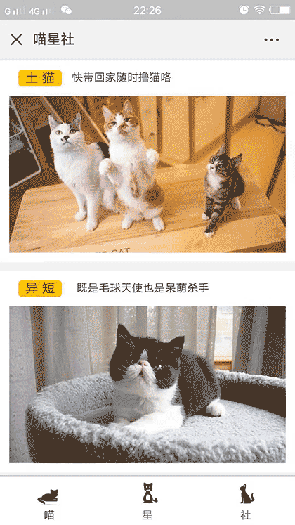 喵星社截图3