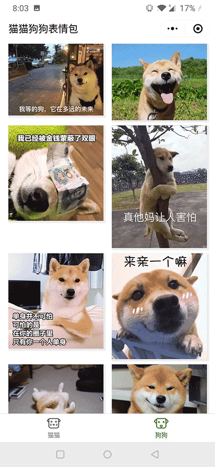猫猫狗狗表情包截图2