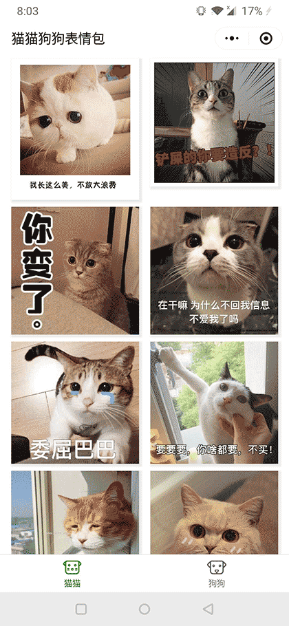 猫猫狗狗表情包截图3